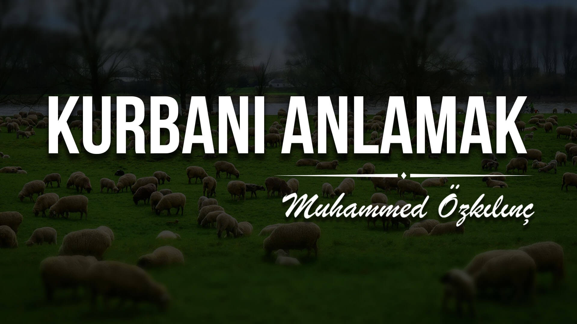 Kurbanı Anlamak