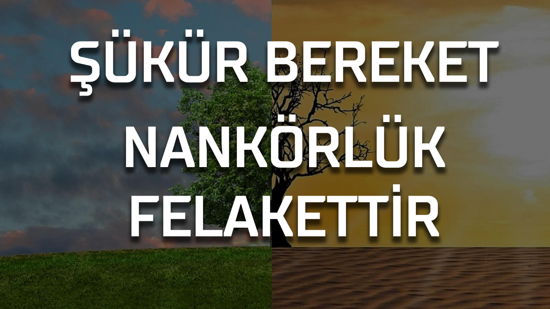 Şükür Bereket Nankörlük Felakettir