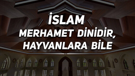 İslam Merhamet Dinidir, Hayvanlara Bile